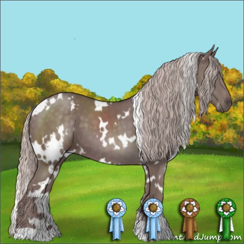 Horse Color:White Spotted Chocolate Silver Black