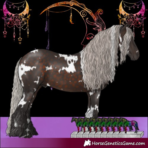 Horse Color:White Spotted Silver Brown