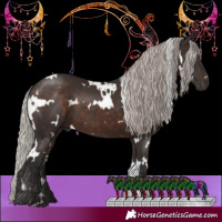 Horse Color:White Spotted Silver Brown