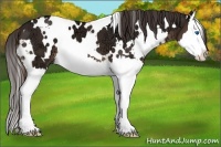 Horse Color:White Spotted Liver Chestnut Ice Splash 