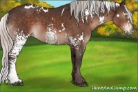 Horse Color:White Spotted Silver Brown 