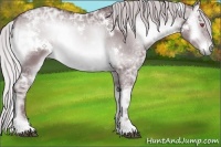 Horse Color:White Spotted Chocolate Silver Brown Chinchilla Ice Onyx
