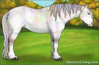 Horse Color:Nacre Chocolate Silver Brown Chinchilla Ice Sabino Rabicano