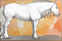 Horse Color:Gray White Spotted Silver Classic Cream Champagne Splash Blanket Rabicano 