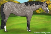 Horse Color:Grullo Ice Sabino
