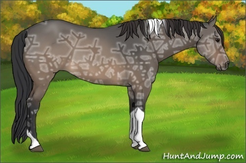 Horse Color:Brown Ice Dun Tobiano Rabicano 