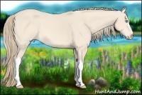 Horse Color:Perlino 