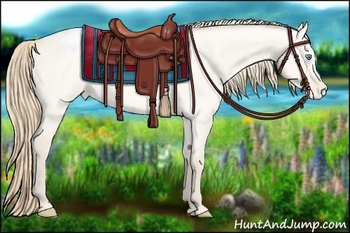 Horse Color:Perlino Roan Dun Appaloosa 