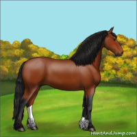 Horse Color:Gray Bay 