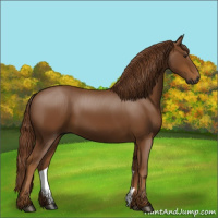 Horse Color:Gray Chestnut