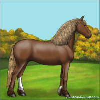 Horse Color:Gray Chestnut 