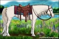 Horse Color:Smoky Creme Dun Sabino Splash 