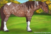 Horse Color:Chocolate Bay Ice Tobiano