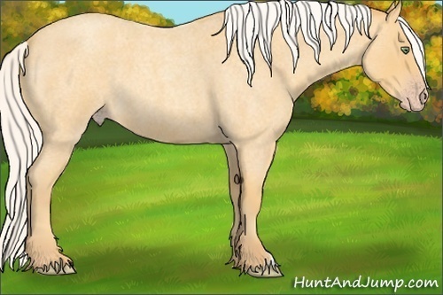 Horse Color:Silver Sable Cream Champagne Roan 