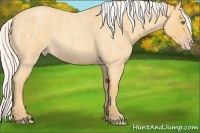 Horse Color:Silver Sable Cream Champagne Roan 