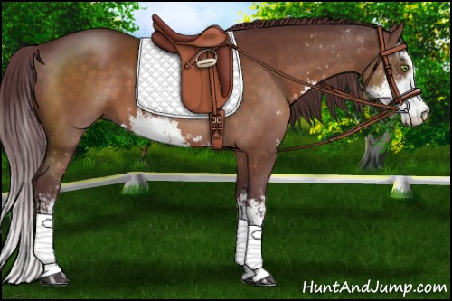 Horse Color:Chocolate Brown Sabino 