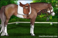 Horse Color:Chocolate Brown Sabino 