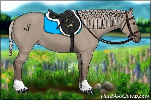 Horse Color:Silver Grullo 