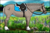 Horse Color:Silver Grullo