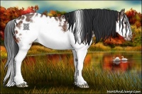 Horse Color:Bay Ice Sabino Splash Frame Appaloosa 