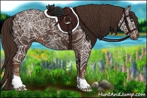 Horse Color:Liver Chestnut Ice 