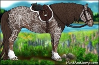 Horse Color:Liver Chestnut Ice 