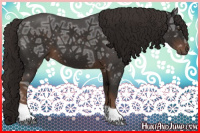 Horse Color:Liver Chestnut Ice 