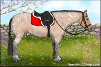 Horse Color:Bay Ice Roan Rabicano 