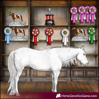 Horse Color:Silver Smoky Grullo Sabino 
