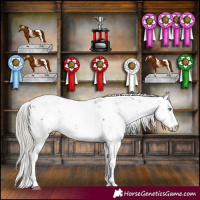 Horse Color:Silver Smoky Grullo Sabino 