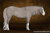 Horse Color:Silver Grullo Roan Sabino Splash Rabicano