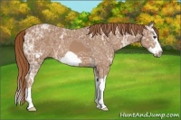Horse Color:Chestnut Ice Splash Frame