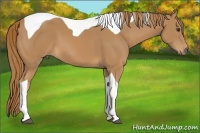 Horse Color:Chestnut Tobiano 
