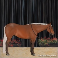 Horse Color:Silver Brown 
