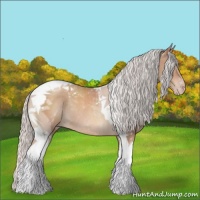Horse Color:Silver Sable Champagne Tobiano Rabicano