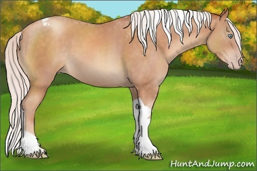 Horse Color:Silver Sable Champagne Tobiano 