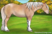 Horse Color:Silver Sable Champagne Tobiano 