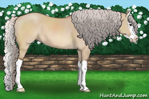 Horse Color:Silver Brown Dun Splash 