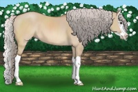 Horse Color:Silver Brown Dun Splash 