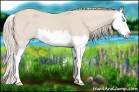 Horse Color:Smoky Creme Splash 