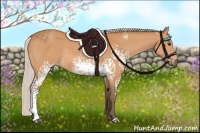 Horse Color:White Spotted Silver Bay Rabicano