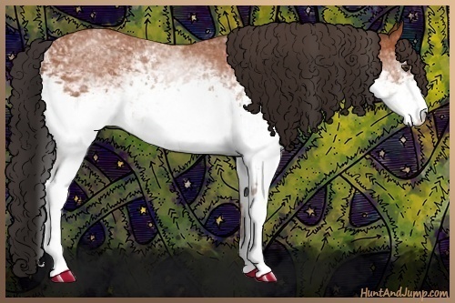 Horse Color:White Spotted Bay Sabino