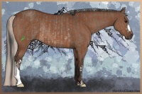 Horse Color:Brown Dun Rabicano and Silver Brown Rabicano