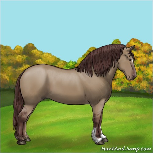 Horse Color:Chocolate Smoky Grullo Sabino 