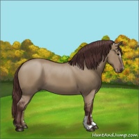 Horse Color:Chocolate Smoky Grullo Sabino