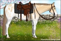 Horse Color:White Spotted Amber Cream Champagne Appaloosa 