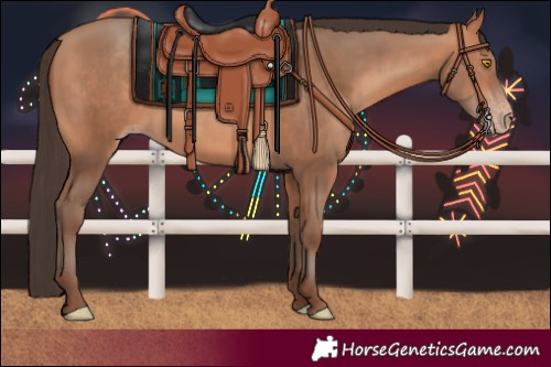Horse Color:Amber Champagne