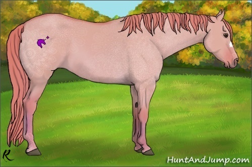 Horse Color:Watercolor Red Dun