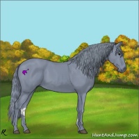 Horse Color:Watercolor Black 