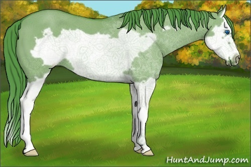 Horse Color:Watercolor Smoky Grullo Splash Frame
